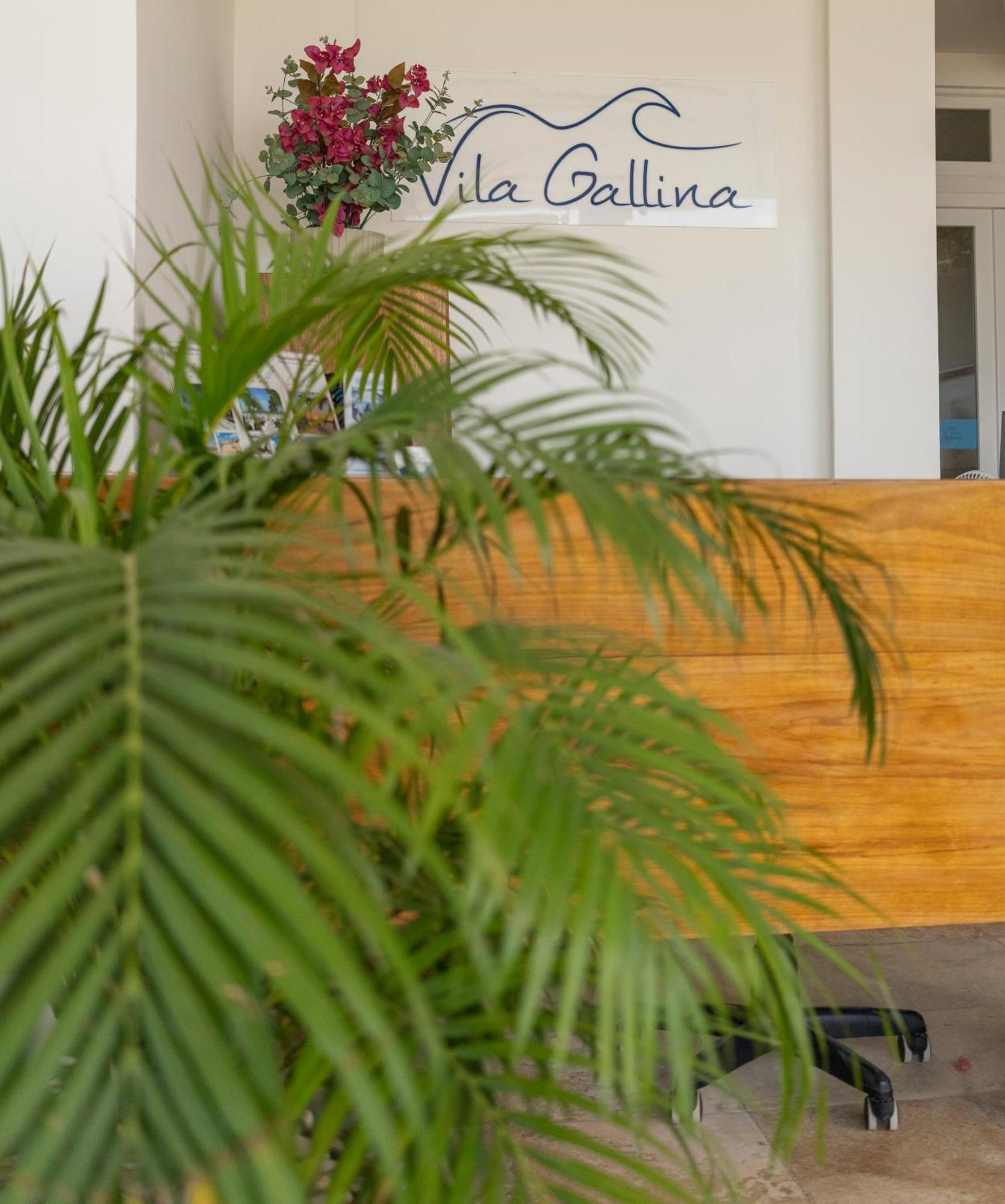 Vila Gallina Pousada Jijoca de Jericoacoara Ngoại thất bức ảnh